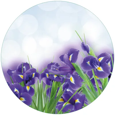 Produktbild von Wallario Premium Glasbild, freischwebende Optik, kräftige Farben, rund 50cm Durchmesser, Motiv Abstrakte blaue Schwertlilien in Nahaufnahme