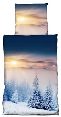 Produktbild von 4 tlg Flausch Bettwäsche 135 x 200 cm Winter Land blau Microfaser Thermofleece