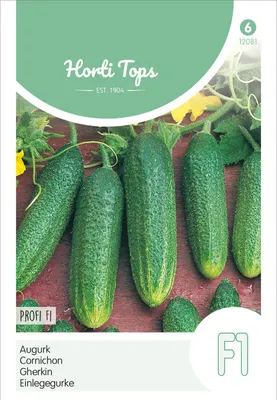 Produktbild von Einlegegurke Profi F1 | Einlegegurkensamen von Hortitops