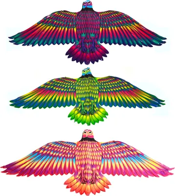 Produktbild von Fliegender Drache Adler 132 x 60 cm