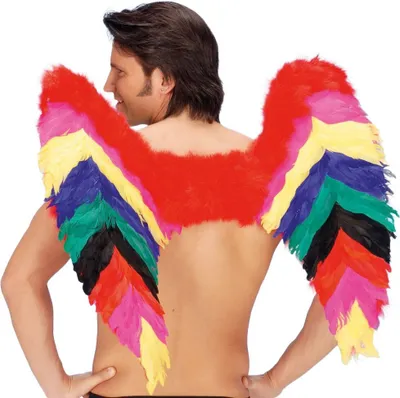 Produktbild von Rainbow Federflügel Kostümflügel Fasching Karneval