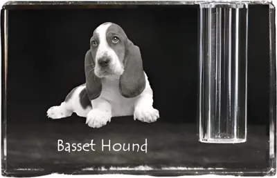 Productafbeelding van Art-Dog Pennenhouder – Basset Hound