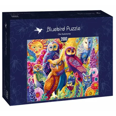 Obrázek produktu pro BLUEBIRD Sova pro samosprávu 2000 dílků
