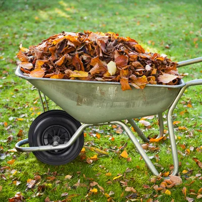 Produktbild von Relaxdays Schubkarrenrad 4.00-6, Vollgummirad mit Kunststofffelge, 3 Adapter, Ersatzrad pannensicher, 100 kg, schwarz