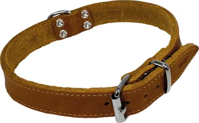 Obrázok produktu pre Obojok pre psa "Tabil" M-L 50cm cognac