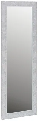 Produktbild von Carryhome FINN Wandspiegel, Silber, 50x150 cm, mit modernem Kunststoffrahmen