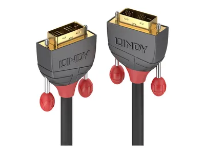 Immagine prodotto di Lindy 36240 Lindy DVI-D Single Link Cavo Anthra Line 10m