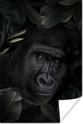 Produktbild von MuchoWow® Poster Gorilla - Pflanzen - Dschungel 60x90 cm - Wanddekoration