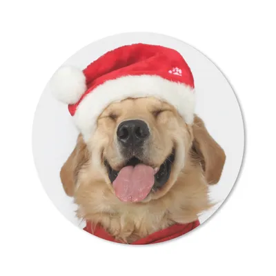 Produktbild von MuchoWow® Mauspad Mousepad Hund - Lustig - Lachen - Kinder - Jungen - Mädchen 50x50 cm - Mousepads - Maus Mat - Pad - Mausunterlage - Vinyl