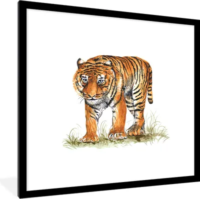 Produktbild von MuchoWow® MuchoWow® Gerahmtes Poster Tiger - Augen - Gras 40x40 cm - Poster mit zchwarzem Bilderrahmen - Poster - Plakat im Rahmen