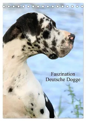 Produktbild von Faszination Deutsche Dogge (Tischkalender 2026 DIN A5 hoch), CALVENDO Monatskalender