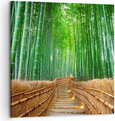 Produktbild von Bild auf Leinwand - Leinwandbild - Bambus Pflanze - 60x60cm - Wand Bild - Wanddeko - Wandbilder - Leinwanddruck - Bilder - Kunstdruck - Wanddekoration - Leinwand bilder - Wandkunst - AC60x60-3979