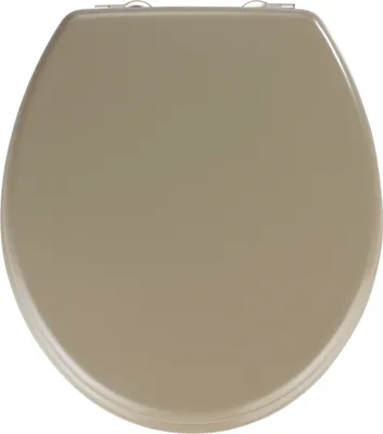 A top-down view of a toilet seat.