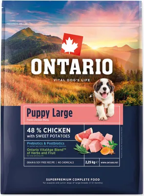 Zdjęcie produktu dla Szczeniak z Ontario