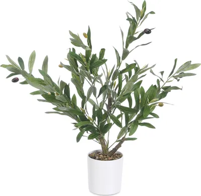 Zdjęcie produktu dla Dekoracyjne drzewko oliwne, 58 cm