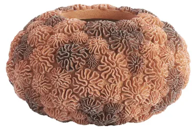 Zdjęcie produktu dla Waza Light & Living CORAL brzoskwiniowo-jasnobrązowa – Ø37x21 cm
