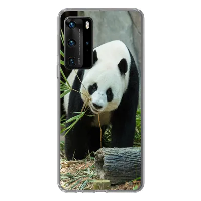 Produktbild von MuchoWow® Handyhülle Schutzhülle Hülle für Huawei P40 Pro Panda - Baumstamm - Höhle Silikon Softcase Handy Hülle - Schutz