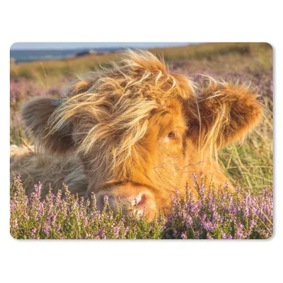 Produktbild von MuchoWow® Mauspad Mousepad Schottische Highlander - Heide - Gras - Tiere 23x19 cm - Mousepads - Maus Mat - Pad - Mausunterlage - Schreibtischunterlage - Mauspad