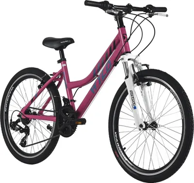 Zdjęcie produktu dla Rower dziecięcy WYLD Girls 24" Mistral 18 biegów RH 38 cm - od 8 lat DaCapo 207K, 208K