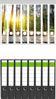 Produktbild von Wallario 8 Stück schmale Ordner inkl. Klebeetiketten mit Motive Sonnenstrahlen tief hinter dem Wald -  Set mit Rückenschildern / Ordnerrücken Stickern