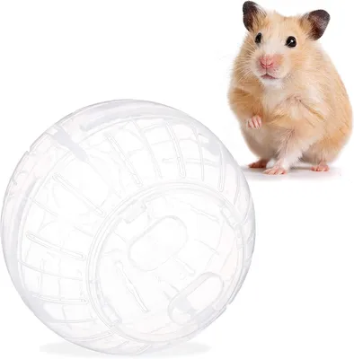Produktbild von Hamster Ball Hamster Laufball 1 Packung Hamster Spielzeug Laufball Rollball Übungsball Joggingball für Hamster Ratte Gerbil Kleintier Spielzeug Kunststoff