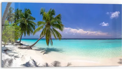 Produktbild von DEQORI Küchenrückwand Glas 80x40 cm 'Paradiesischer Strand' Spritzschutz Bad Rückwand