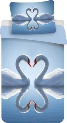 Produktbild von Zwaan Bettbezug 140 x 200 cm - 70 x 90 cm - Polyester