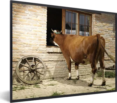 Produktbild von MuchoWow® MuchoWow® Gerahmtes Poster Kuh - Fenster - Tier 80x60 cm - Poster mit zchwarzem Bilderrahmen - Schwarzem - Mit Gestell