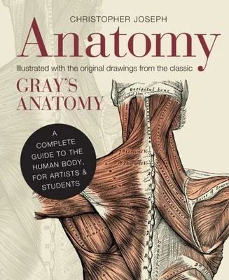 Image de Anatomy