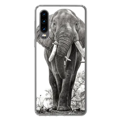 Produktbild von MuchoWow® Handyhülle Schutzhülle Hülle für Huawei P30 Elefant - Porträt - Tiere - Schwarz und weiß Silikon Softcase Handy Hülle - Kartenbesitzer