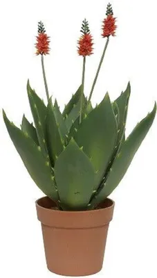 Produktbild von Kunstpflanze Agave Polyester grün H 60 cm Ø 42 cm