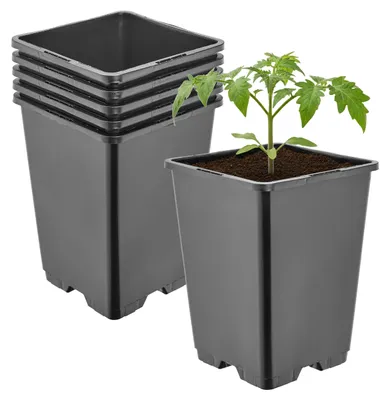 Image de Lot de 5 pots carrés en plastique noir pour plantes, avec trous de drainage, idéaux pour le jardin, dimensions : 11 x 11 x 15,5 cm, capacité : 1,25 L. Référence : GD-KW-HS