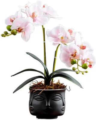 Produktbild von Kunstblume Rosa Dekoration aus Kunststoff