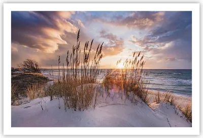 Produktbild von Poster - Poster ohne Rahmen - Westen auf der Strand - 91,5x61 cm - Wand Bild - Wanddeko - Wandbilder - Kunstposter - Wandposter - Bilder - Kunstdruck - Wanddekoration - Wandbild - P2XAA91x61-4710