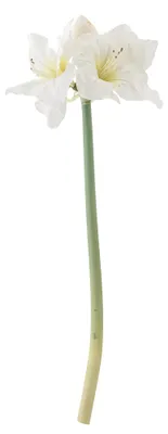 Zdjęcie produktu dla BLOOMINGVILLE | Amaryllis, biała, sztuczne kwiaty | 23 cm (szerokość) x 74 cm (wysokość) | 82073040