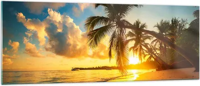 Produktbild von Bilder auf glas - Meer Strand Palme - 140x50cm - Glasbilder - Wandbilder - Kunstdruck - zum Aufhängen bereit - Wanddekoration aus Glas - Glas Bilder - Wandbild auf Glas - Einteilig - GAB140x50-3922