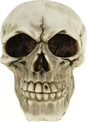 Produktbild von Vogler Schädel Aschenbecher 12 cm Ascher Totenschädel Totenkopf Figur