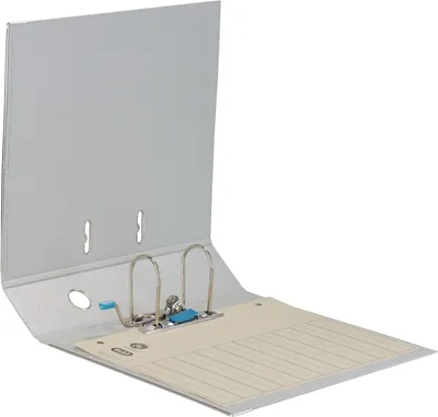 Produktbild von ELBA Ordner ELBAradoplast 100022629 DIN A4 80mm PVC grau
