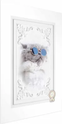 Produktbild von Posterpapier Poster - Cat in Glasses 40x60 cm Tiere g-C-0109-ao-a