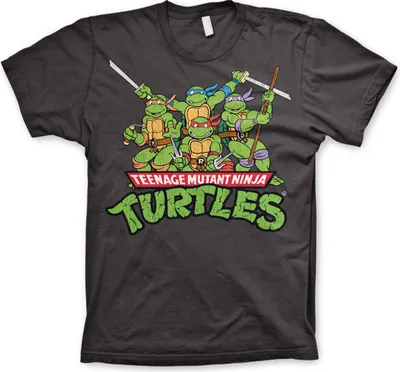 Produktbild von Turtles Distressed Group T-shirt - Small - Dark-Grey