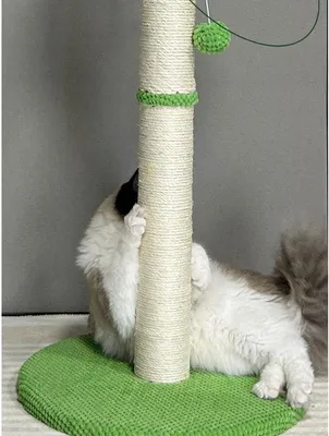Image de Arbre à chat avec cordes en sisal naturel - Structure robuste - 72 x 30 cm