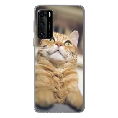 Produktbild von MuchoWow® Handyhülle Schutzhülle Hülle für Huawei P40 Katze - Bank - Orange Silikon Softcase Handy Hülle - Handytasche