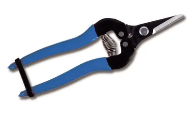 Produktbild von ARS Floristen/Ernteschere 300SS-BL