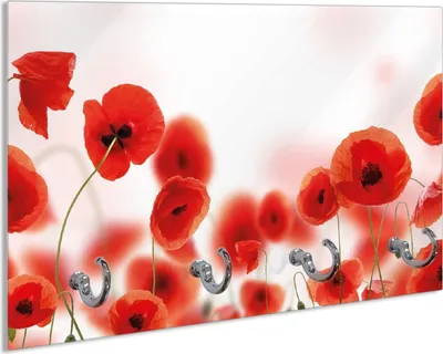 Produktbild von Wallario Schlüsselbrett aus Glas, Motiv: Leuchtende Mohnblumen - Rote Mohnblumenblüten, 30 x 20 cm mit 4 Haken