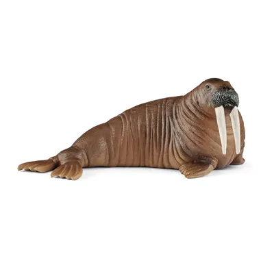 Obrázek produktu pro Schleich Wild Life Mrož | 14803