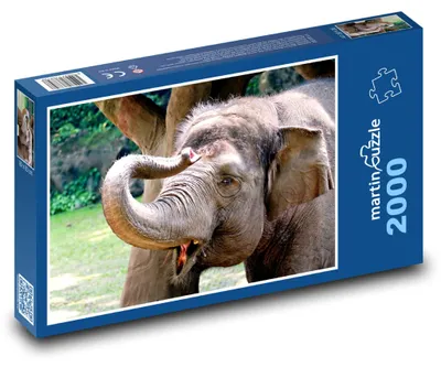Zdjęcie produktu dla martinpuzzle - Puzzle 2000 - Słoń - savec