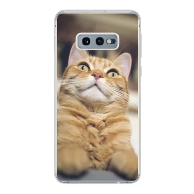 Produktbild von MuchoWow® Handyhülle Schutzhülle Hülle für Samsung Galaxy S10e Katze - Bank - Orange Silikon Softcase Handy Hülle - Handy