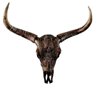 Produktbild von Stierkopf Bullenschädel mit Geweih und Hörnern - Wanddekoration aus Polyresin - XXL 72 cm