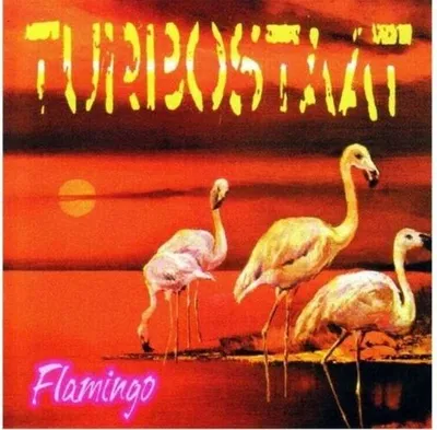 Produktbild von Turbostaat: Flamingo (180g) (Limited Edition) - Believe Digital - (LP / F)