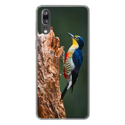 Produktbild von MuchoWow® Handyhülle Schutzhülle Hülle für Huawei P20 Nahaufnahme eines bunten Vogels auf der Seite eines Baumstamms Silikon Softcase Handy Hülle - Hardcover